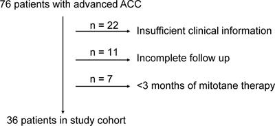 The Effects of Cumulative Dose and Polymorphisms in CYP2B6 on the Mitotane Plasma Trough Concentrations in Chinese Patients With Advanced Adrenocortical Carcinoma